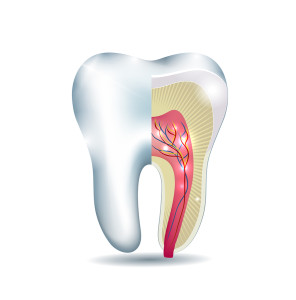 Root Canal Therapy